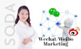 post on wechat marketing and weibo marketing in chinese