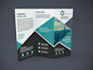 do a professional brochure design, trifold brochure