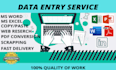 do perfect data entry, copy paste, web research