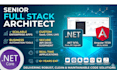 develop custom web app using angular and dot net core