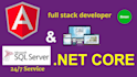 develop a web application with angular and asp net API