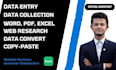 be your virtual assistant for data entry, copy paste, web research, typing