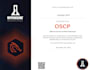 do top notch penetration test of your website