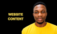 write SEO website content as your copywriter