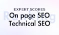 do on page SEO and technical optimization on any website
