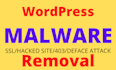 fix all wordpress issues, 403,404,503 errors