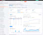 local SEO expert, website audit, link building  on page, off page