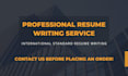 provide professional resume and cover letter