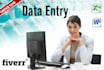 do any DATA Entry work for you