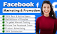 do facebook marketing and promotion, ads campaign and advertising