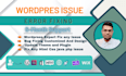 fix wordpress error, divi issue, bug and customization