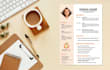 make professional CV designs and resume designs
