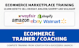 teach you amazon, ebay, walmart, shopify dropshipping