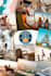 provide travel affiliate websites for passive income