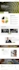 design website wordpress, wix, shopify, framer, custom