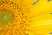 balance your solar plexus chakra