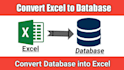 convert the database to excel
