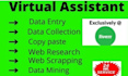 do excel data entry, web research, data entry, copy paste, virtual assistant