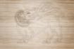 create laser cutting, engraving vector files