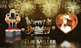 do golden happy birthday wish video within 4 hours