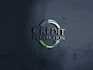 design an exclusive professional looking logo