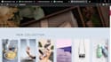 develop a beautiful website at a very cheap rate