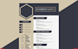 provide professional resume writing services