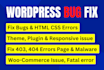 fix wordpress issues, error or wordpress bug