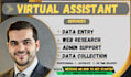 be your VA for data entry and web research