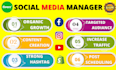be your social media marketing manager with growth strategy