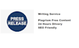 write an SEO press release