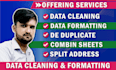 do excel data entry, copy paste, data cleaning, and formatting