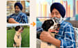 draw you and your pet into vector art portrait