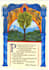 illuminate a medieval manuscript