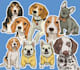draw cartoon illustration portrait for dog, cat or any pet