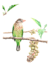 create realistic illustration of birds, butterflies, animals