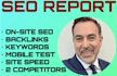 provide a google SEO audit and backlink report