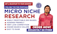 do profitable and less competitive micro niche research