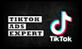 be your tik tok ads expert