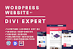 design divi wordpress website and divi theme customization