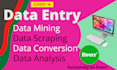 do data collection, data entry, excel data entry, copy past