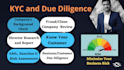 do kyc, due diligence company, and director research