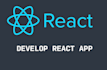 develop a react app