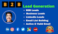 do b2b lead generation for your targeted business leads