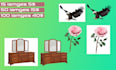 professioanl photo background removal