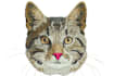do perfect embroidery digitizing into dst pes in 1 hour