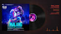 make professional designed audio spectrum music visualizer