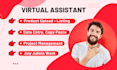 be your virtual assistant for research, product listing data entry