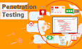 perform vapt on your application and provide remediation support