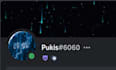 make you a professional discord server